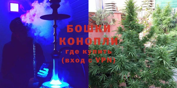 дурь Покачи