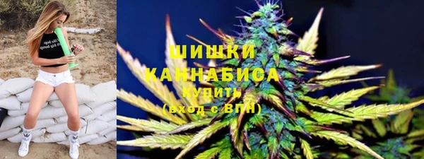 дурь Покачи