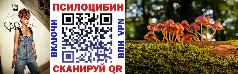 МЕГА ONION  Иноземцево  Псилоцибиновые грибы Magic Shrooms 